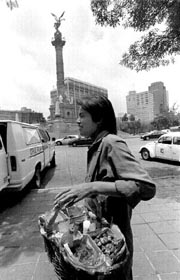 beneficiado del fobaproa...