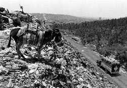 mira tu exito ernesto