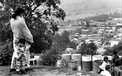 economia de mercado exitosa