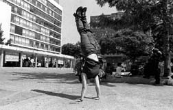 preocupadsima por la suspencin de los estudios y la prdida del semestre