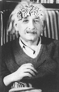 einstein cerebro