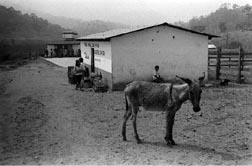 beneficirios del fobaproa