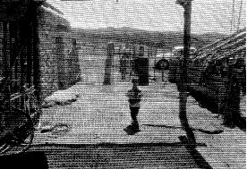 mosquetero-nio-reportaje-jpg