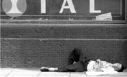 puro exito economico