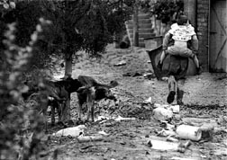 progreso economico solo con el pri