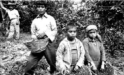 el tlc es todo un exito