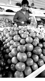 jitomates-mercado jpg