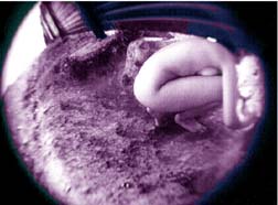 Otros pasos en la lnea fronteriza. Tijuana n Fotos: Julio Orozco