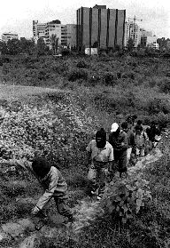zapatistas-cuicuilco-1-jpg