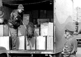 RUSSIA_EXPLOSION_4PC