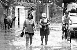 imagen cotidiana para los beneficiarios de los programas economicos del dr