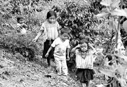 mas victimas del dr.