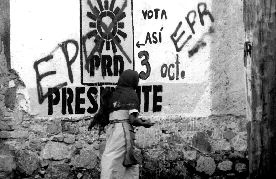 guerrero-elecciones-1-jpg