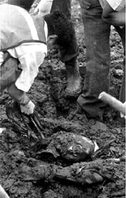 Un grupo de brigadistas intenta rescatar el cuerpo de una mujer que qued sepultada luego que ocurri un deslave en el barrio Taxcala, en Teziutln, Puebla n Foto: Rafael Garca Otero