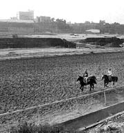 El 20 de noviembre comenzar a funcionar de nuevo el Hipdromo de las Amricas n Foto: Guillermo Sologuren