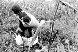 cuando las palabras 'progreso' cero inflacion'Macroeconomia' suenan a majaderia