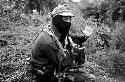 Desde las montaas del sureste mexicano n Foto: archivo