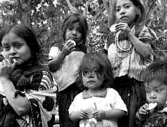 acteal-nios-desplazados-jpg