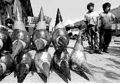 piatas-acolman-3-jpg