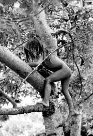 *vc-selva-lacandona-nia-jp