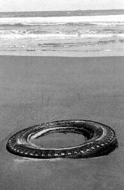 predacion de una humanidad insensible ante un planeta hermoso