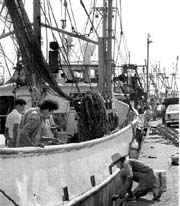 Puerto de Veracruz n Foto: Luis Humberto Gonzlez