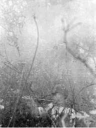 Incendio forestal/Mor