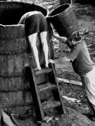 tequila-dos-trabajadores-cubeta