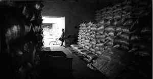 frijol-bodega-contraluz-jpg