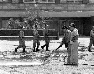 limpia-pintas-cu-2-jpg