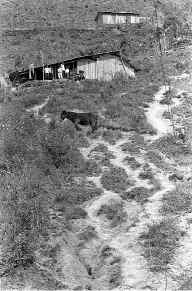 chis-desplazados-3-jpg