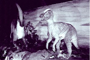 El parque recrea el ambiente en el que habitaron los dinosaurios