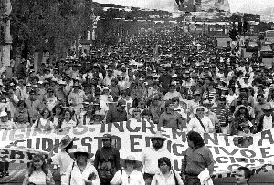 marcha-maestros-pinos-1-jpg