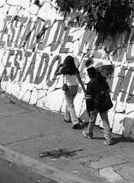 pan-propaganda-electoral