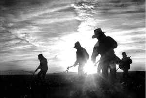 Ťbraceros-eu-trabajadores