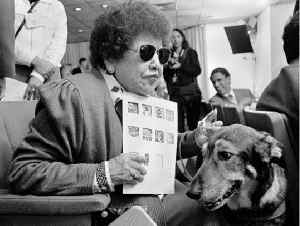 plantilla-discapacitados-2-jpg