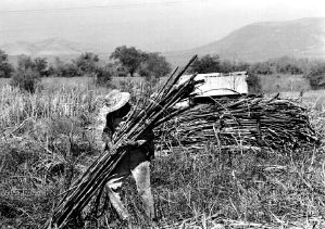 Ťcaeros-zacatepec-morel-jp