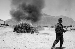 Ťtijuana-quema-drogas-2-jpg