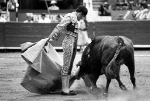 arriero.toros