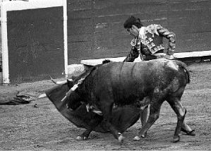 triunfador.toros
