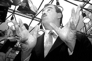 BELGIUM_FOX_MEXICO_4