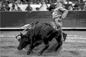 arriero.toros.04