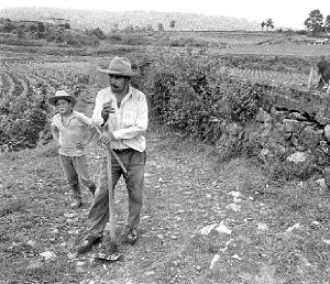 campesinos-toluca-edom1-jpg