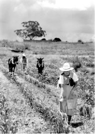 *frente-la-yunta-campo-tlax