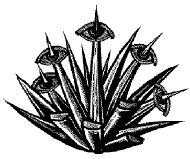 llueve sobre mojado6