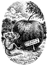 carton-1  pecado original