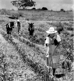 frente-la-yunta-campo-tlax
