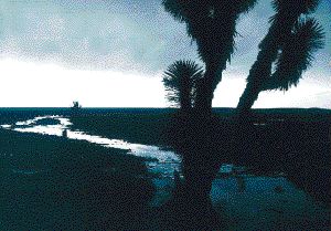 piedra verde-1/duotono