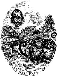 sin eva-1