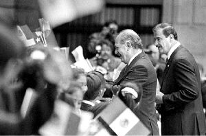 lagos-fox-bienvenida-